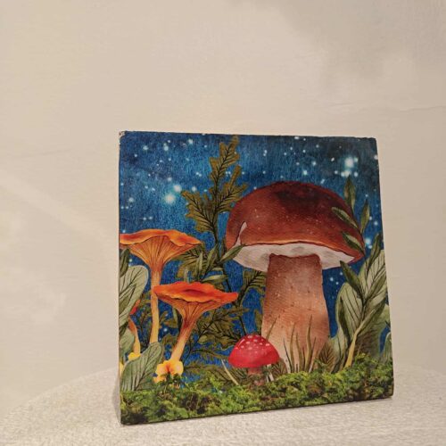 Ehete karp - seened SUUR