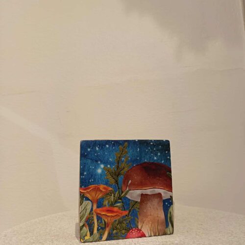 Ehete karp - seened VÄIKE